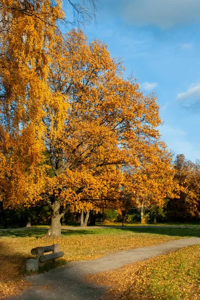 Gün batımı sırasında sonbahar park