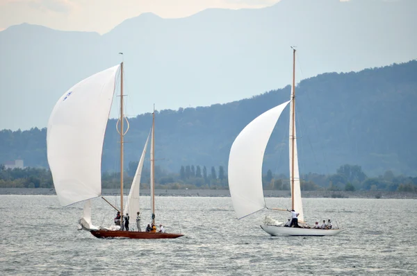 Spinnaker sailing — Stock Photo, Image