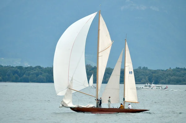 Spinnaker sailing — Stock Photo, Image