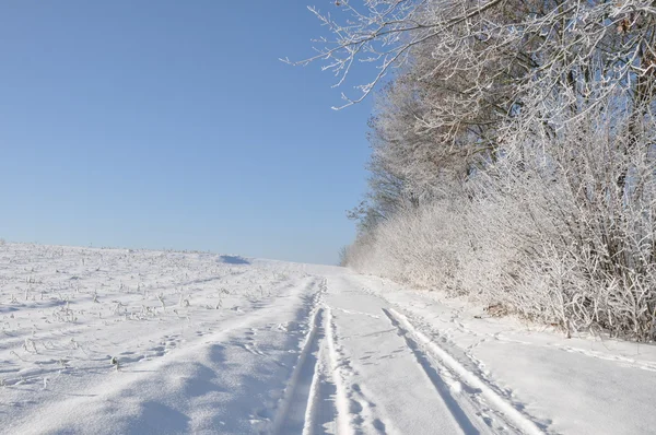 Weg in der Nähe von verschneitem Wald und Feld — Stockfoto
