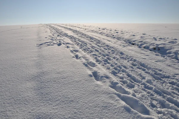 Voetafdrukken op winter pad Stockfoto