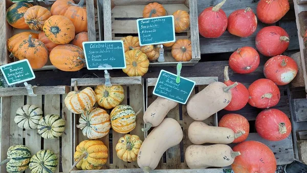 Abóboras Frutas Mercado — Fotografia de Stock