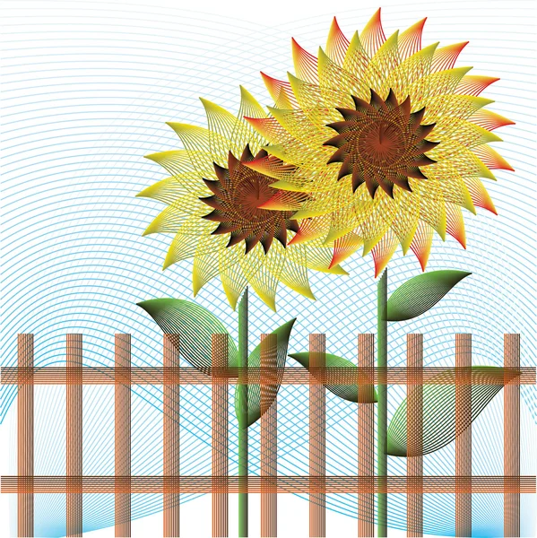 Background with sunflowers — Stock Vector