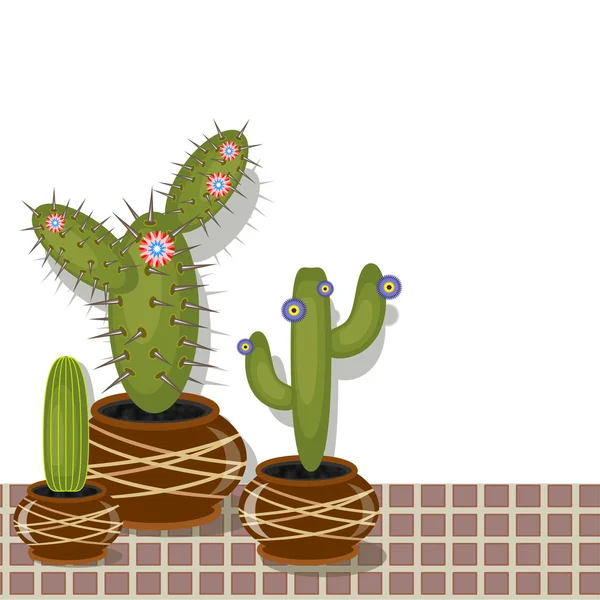 Cactus — Vector de stock