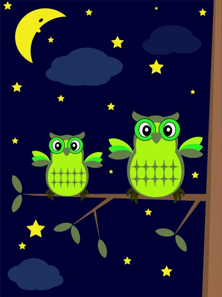 Búhos en la noche — Vector de stock