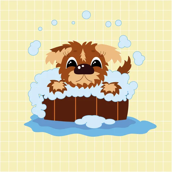 Puppy in the bath . — Stock Photo, Image