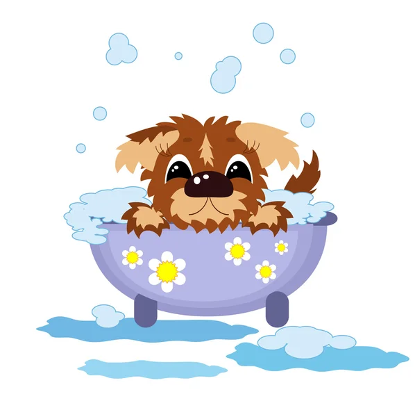 Puppy in the bath . — Stock Photo, Image