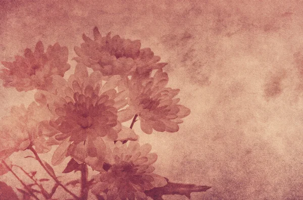 Eski püskü çiçek arka plan — Stok fotoğraf