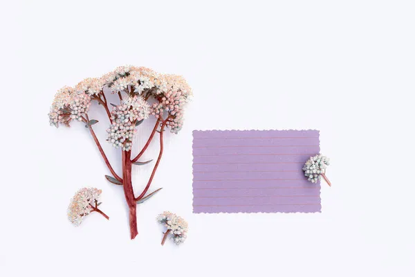 Carte Voeux Avec Bouquet Fleurs Sauvages Avec Espace Copie — Photo