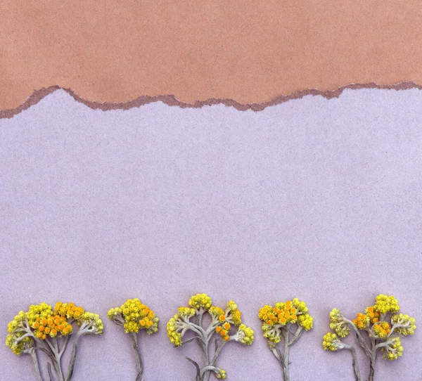 Delikatna Kartka Dzikimi Suchymi Żółtymi Kwiatami Przestrzenią Kopiowania — Zdjęcie stockowe