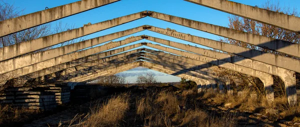 Abandonada Arruinada Vieja Granja Cubierta Arbustos Árboles —  Fotos de Stock