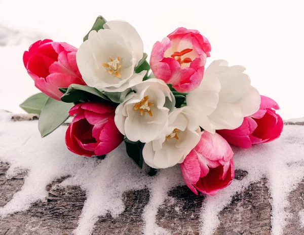 Schöner Zarter Strauß Von Tulpen Schnee Zusammensetzung Der Blüten — Stockfoto