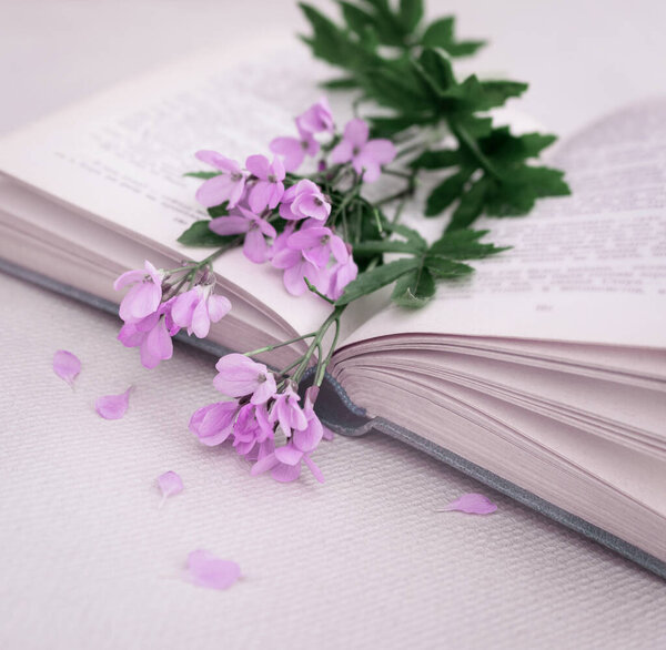 Delicate romantic bouquet of spring flowers in an open book.