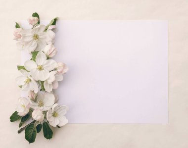 Büyük elma çiçeklerinin narin bahar çiçek aranjmanı.