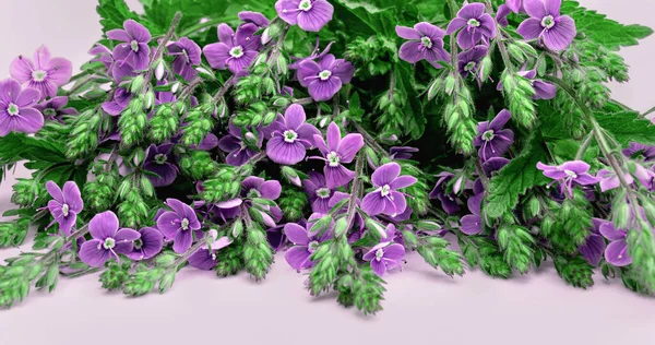 Zartes Blumengesteck Aus Wildblumen Mit Kopierraum — Stockfoto