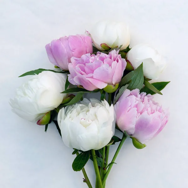 Beyaz arka planda pembe ve beyaz şakayık demeti.