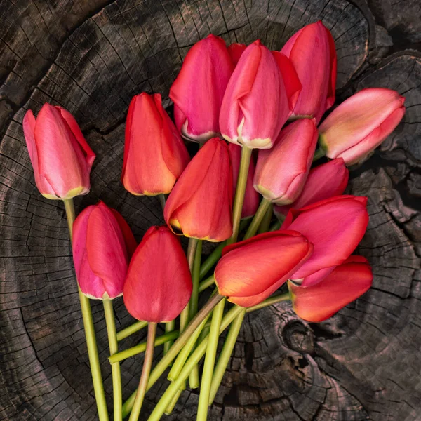 Zarte Bouquet Von Leuchtend Rosa Und Roten Tulpen Auf Einem — Stockfoto