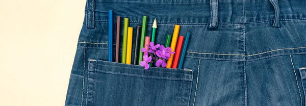 A group of colored pencils and a flower twig in a jeans pocket