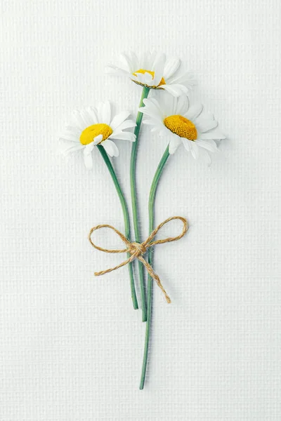 Bouquet Delicate White Daisies Isolated White Background — Photo