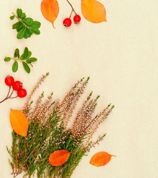 Greeting Autumn Card Bouquet Heather Bright Red Berries —  Fotos de Stock