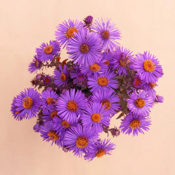 Bouquet Bright Cute Autumn Asters Purple Color Copy Space — Photo