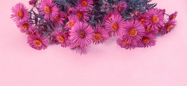 Bouquet Bright Cute Autumn Asters Purple Color Copy Space — Zdjęcie stockowe