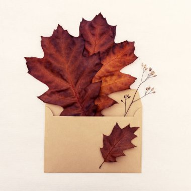 Greeting card with a bouquet of bright withered oak leaves in an envelope with copy space.