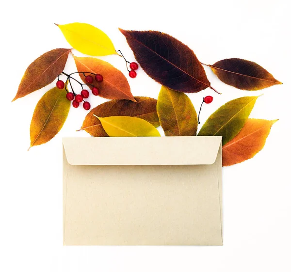 Осенняя Цветочная Открытка Яркими Красочными Листьями Ягодами Вибурнума — стоковое фото