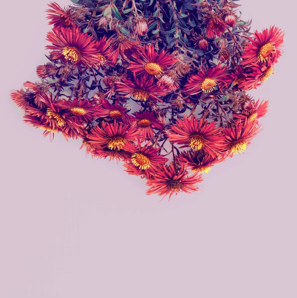 Bukiet Fioletowych Kwiatów Miejsca Kopiowania Dla Projektu — Zdjęcie stockowe