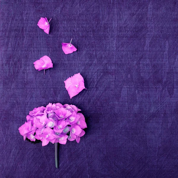 紫色のアジサイの花束とミニマリストの花のグリーティングカード — ストック写真