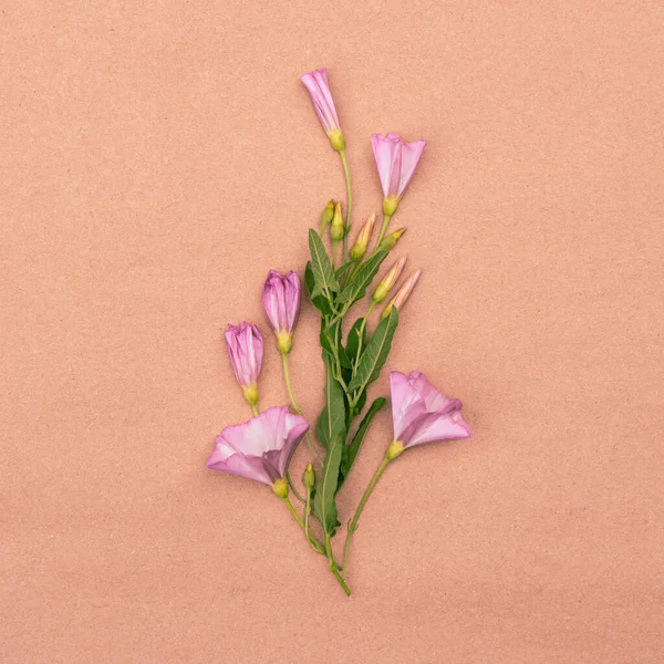 Minimalistyczna Kartka Okolicznościowa Bukietem Różowych Dzikich Kwiatów — Zdjęcie stockowe