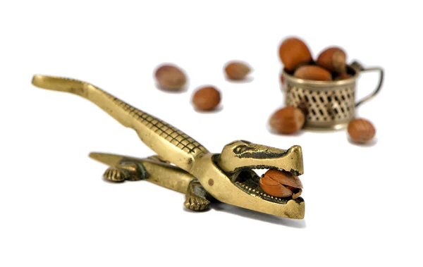Crocodile nut crack tool cobnut isolated on white — Stock Photo, Image