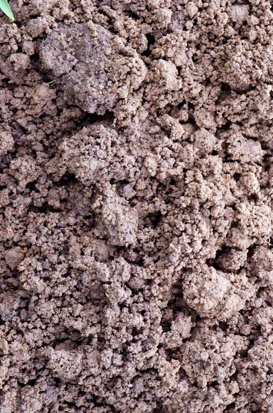 Makro närbild av smuts marken bakgrund detalj. — Stockfoto