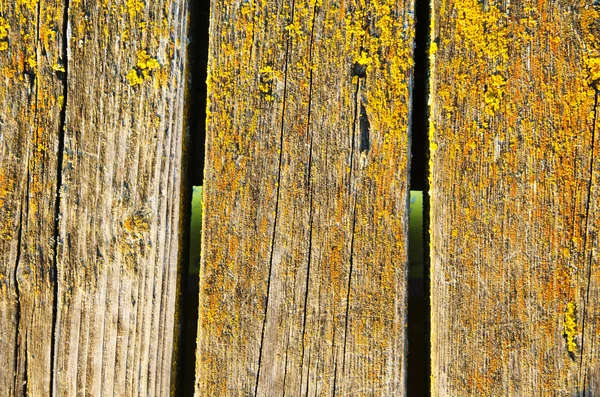 Fondo de tablero de puente de madera musgoso primer plano — Foto de Stock