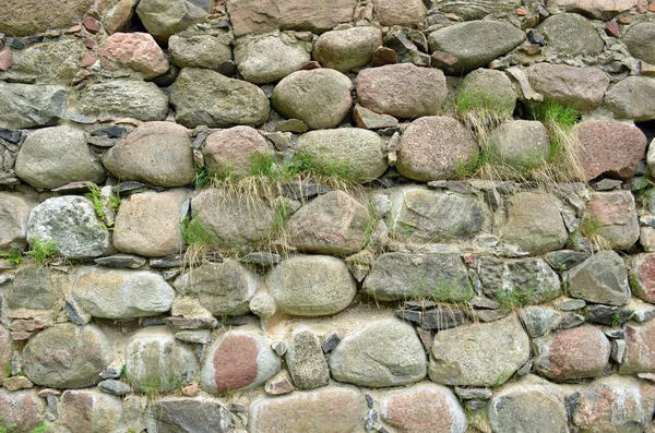 Фон ретро замок каменная стена и трава растут — стоковое фото