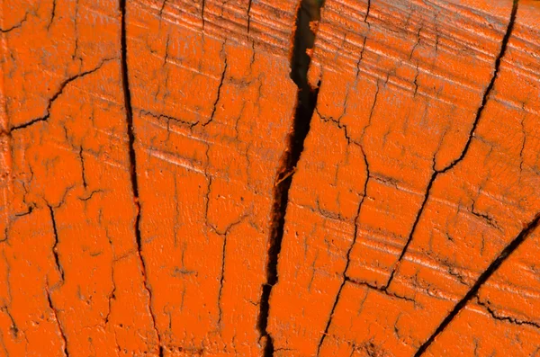 Tree trunk oranje geschilderd kruis sectieachtergrond — Stockfoto