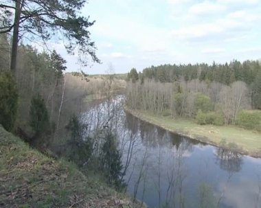 Harika panoramik nehir ve orman.