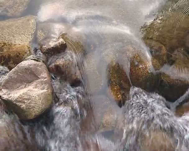 Débit d'eau du ruisseau . — Video