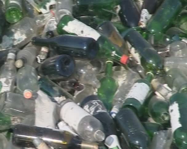 Bottiglia di vetro riciclaggio . — Video Stock