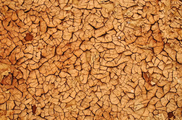 Contexte de la terre sèche résolue après la pluie — Photo