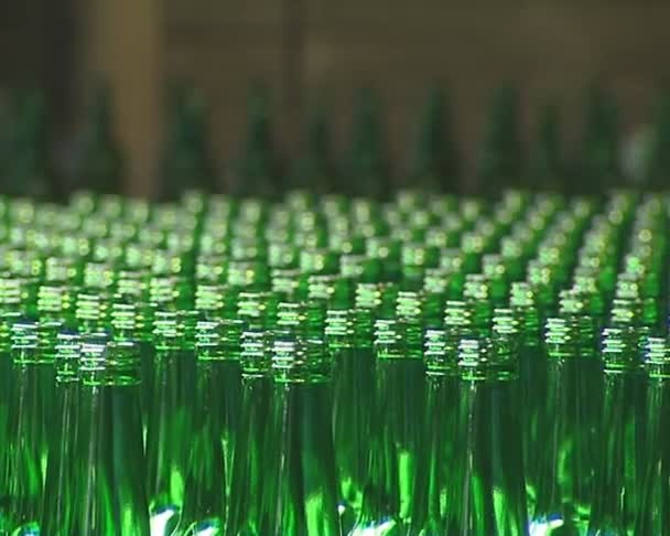 Πολλή πράσινο μπουκάλι που προετοιμάζονται για την συσκευασία στο εργοστάσιο. — Αρχείο Βίντεο