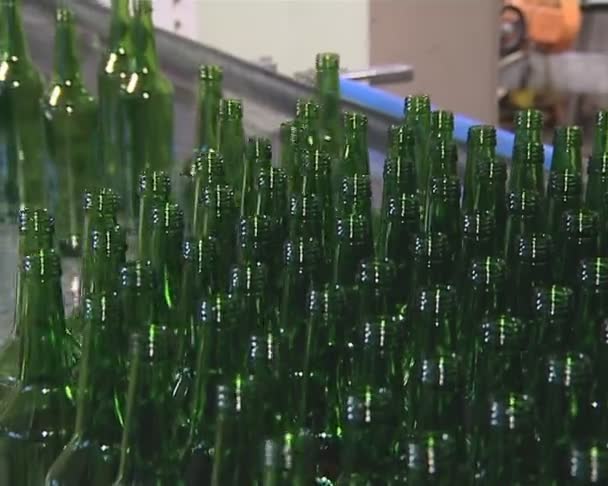 Πολλή πράσινο μπουκάλι που προετοιμάζονται για την συσκευασία στο εργοστάσιο. — Αρχείο Βίντεο