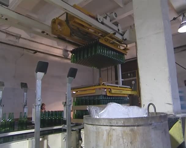 Bouteille verte va à la zone d'emballage. recyclage du verre .