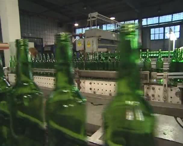 Die grüne Flasche geht in den Verpackungsbereich. Glasrecycling. — Stockvideo