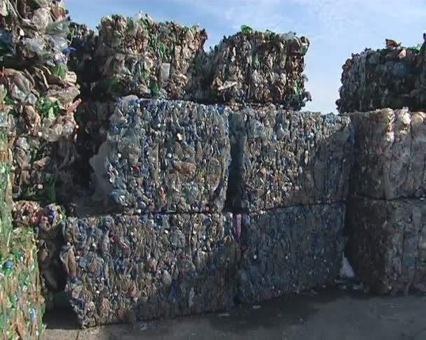 Riesige Stapel gepresster Tierflaschen für das Recycling vorbereitet. — Stockvideo