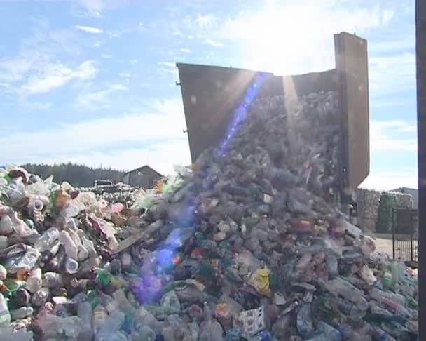 Recycling. pet bottles. — Stock Video