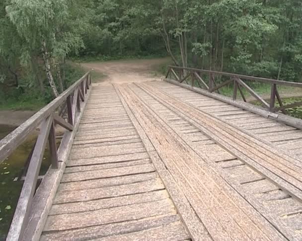 歩行者と機械の川を渡って木造歩道橋 — ストック動画