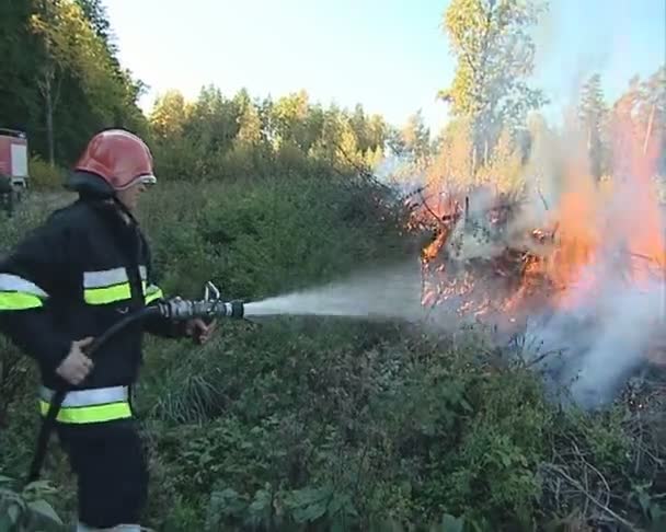 Mundurowych strażaka z wężem w rękach walki z ogniem. — Wideo stockowe