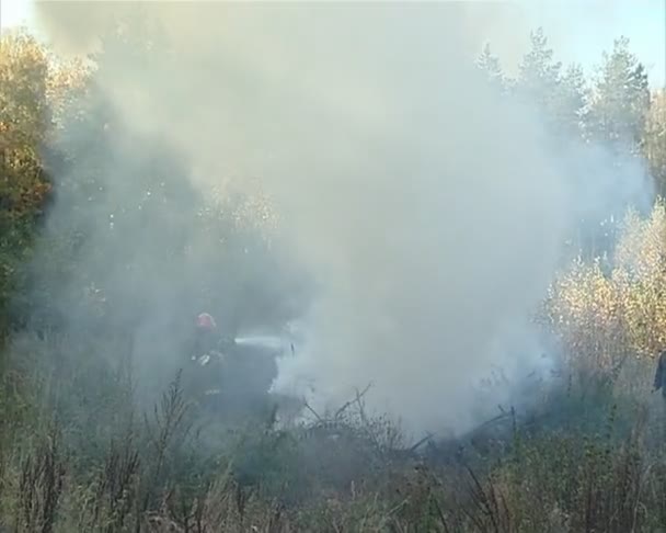 A tömlő, a kezében, tűzoltási egyenruhás tűzoltó. — Stock videók