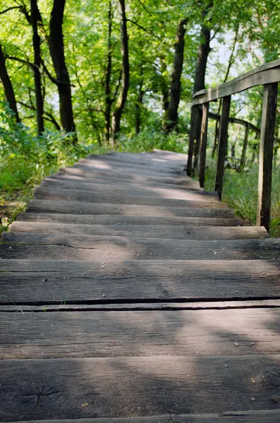 Trätrappa ner naturen surround träd gräs — Stockfoto